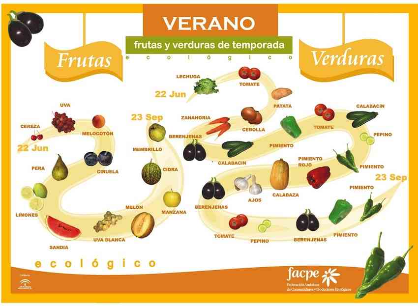 frutas y verduras en verano