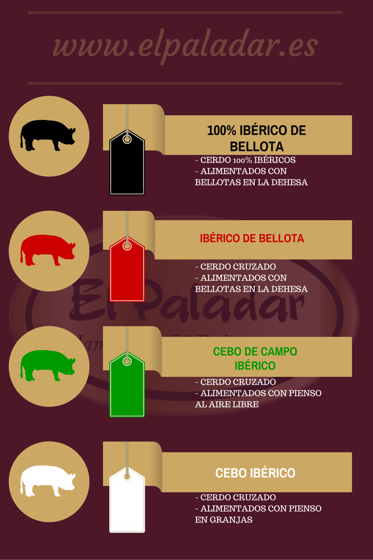 cerdos alimentados de bellota y pienso