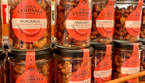 Anacardos: historia, origen y su papel en la gastronomía mundial