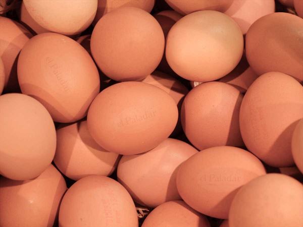 Huevos camperos, como diferenciarlos