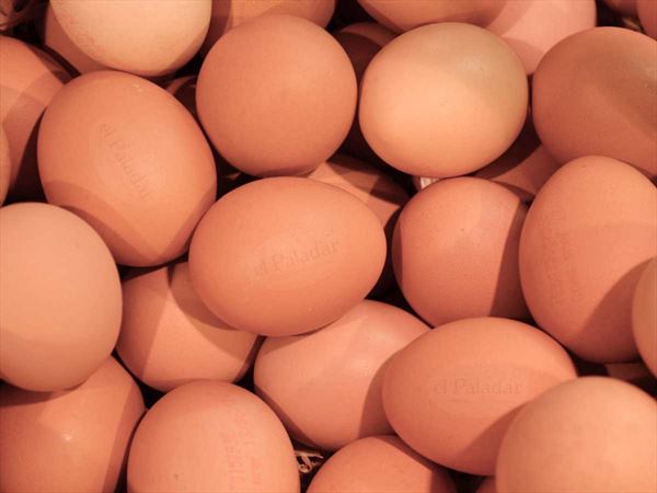 Post: Huevos camperos, como diferenciarlos