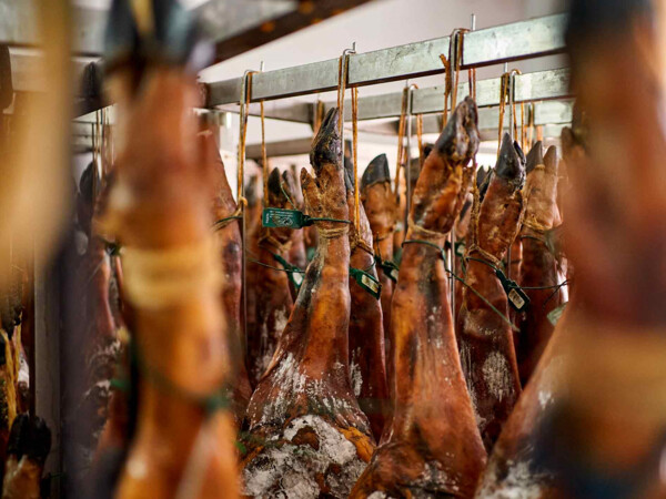 Jamón de Cebo de Campo Ibérico Raza Ibérica