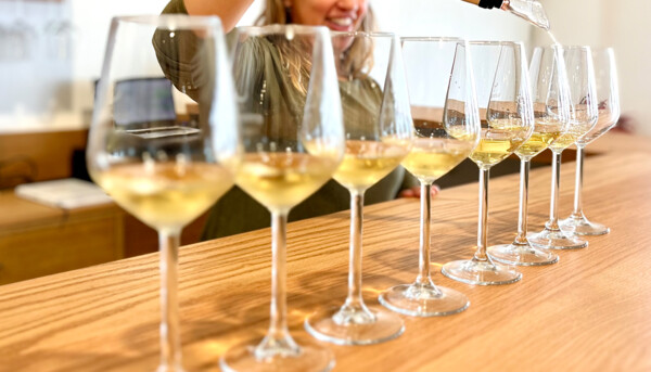 Post: Noticias Los vinos y cavas más apreciados en los hogares españoles: Tendencias y recomendaciones