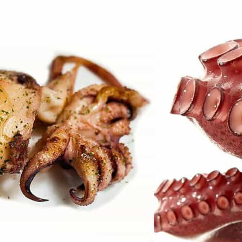 COMPRAR PULPO ONLINE ✅ Comprar Sepia Cocida | Patas de Pulpo Online Pulpo y Sepia