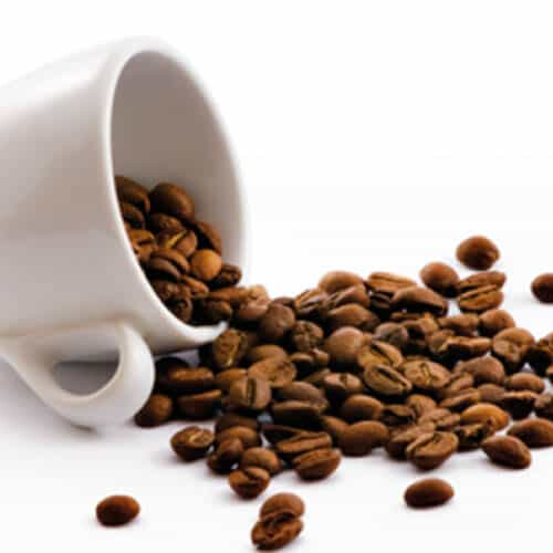 COMPRAR CAFÉ EN GRANO ✅ El Mejor Café de Especialidad | El Paladar Café - Té - Infusiones