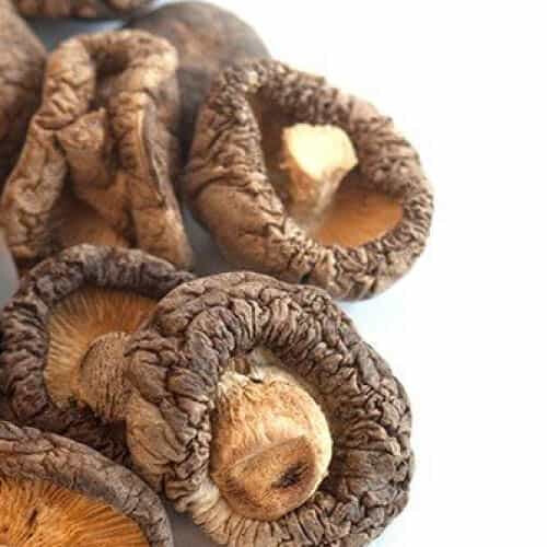 COMPRAR SETAS DESHIDRATADAS ✅ COMPRAR BOLETS SECOS | SETAS SECAS ONLINE Setas