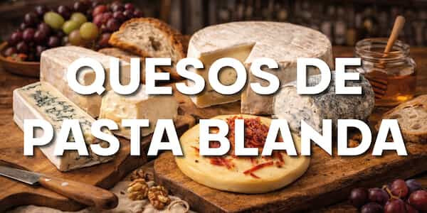 Formaggi a Crosta Fiorita – Delizie Cremose e Raffinate de El Paladar, Jamonería y Delicatessen