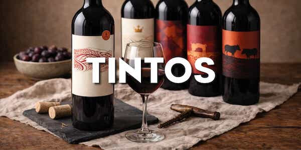 Scopri la Nostra Raffinata Selezione di Vini Rossi de El Paladar, Jamonería y Delicatessen