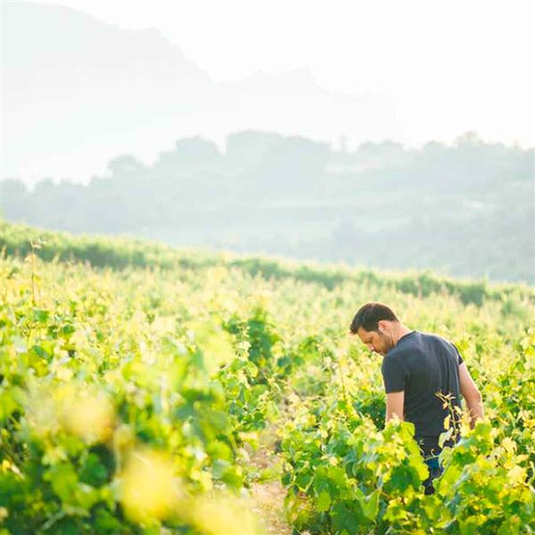 Olivier Rivière | Rioja | Arlanza | Navarra | vino | Tempranillo | Graciano Olivier Rivière