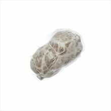 Butifarro Blanc Sa Muradeta