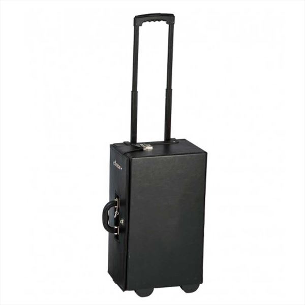 Boarding Jamonero suitcase Afinox