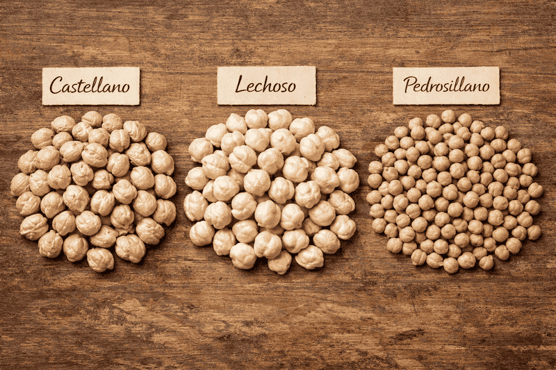Variedades de garbanzos