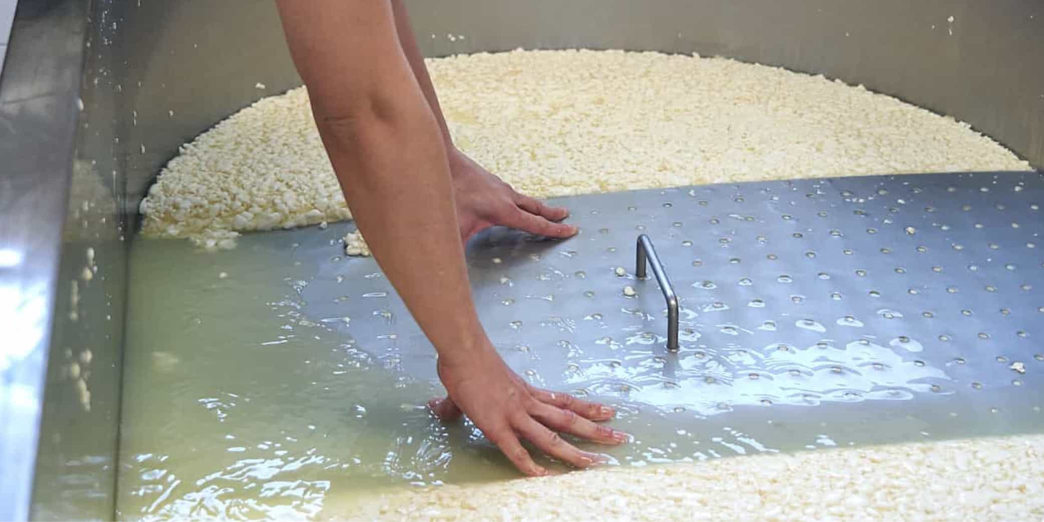 Manos trabajando la cuajada durante la elaboraci&oacute;n artesanal del queso Mah&oacute;n-Menorca